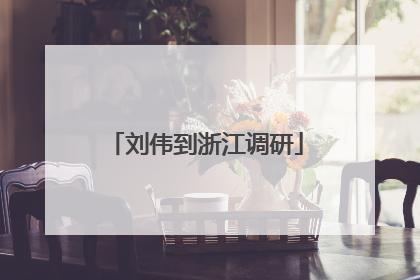 刘伟到浙江调研