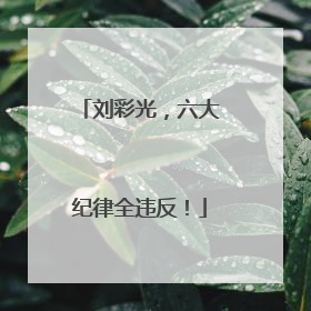 刘彩光，六大纪律全违反！