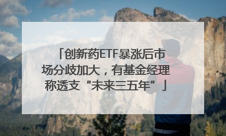 创新药ETF暴涨后市场分歧加大，有基金经理称透支“未来三五年”