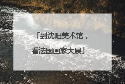 到沈阳美术馆，看法国画家大展