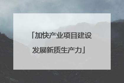 加快产业项目建设 发展新质生产力