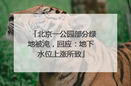 北京一公园部分绿地被淹，回应：地下水位上涨所致