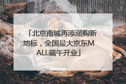 北京南城再添潮购新地标，全国最大京东MALL端午开业