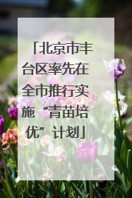 北京市丰台区率先在全市推行实施“青苗培优”计划