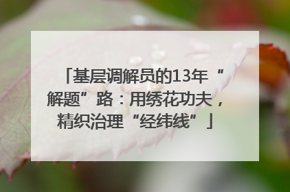 基层调解员的13年“解题”路：用绣花功夫，精织治理“经纬线”