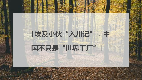 埃及小伙“入川记”：中国不只是“世界工厂”