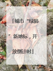 城市“绿肺”新地标，开放倒计时