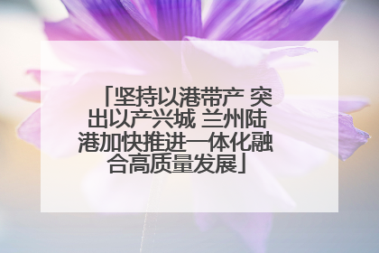 坚持以港带产 突出以产兴城 兰州陆港加快推进一体化融合高质量发展