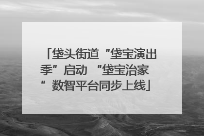 垡头街道“垡宝演出季”启动 “垡宝治家”数智平台同步上线