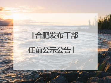 合肥发布干部任前公示公告