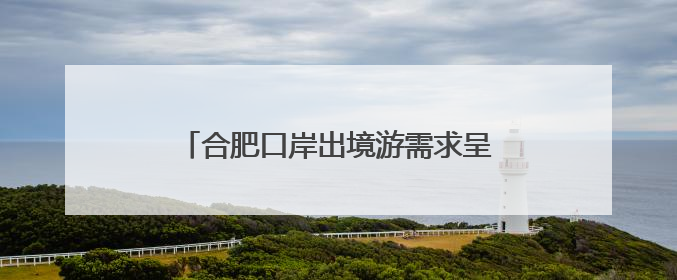 合肥口岸出境游需求呈现爆发式增长，学生群体及家庭游客是主力军