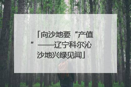 向沙地要“产值”——辽宁科尔沁沙地兴绿见闻