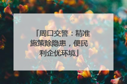 周口交警：精准施策除隐患，便民利企优环境