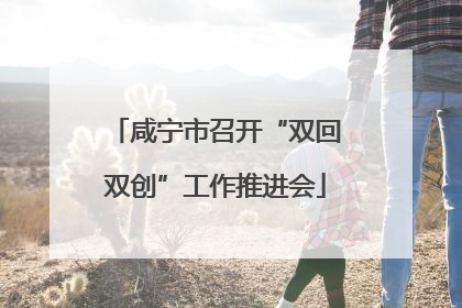 咸宁市召开“双回双创”工作推进会