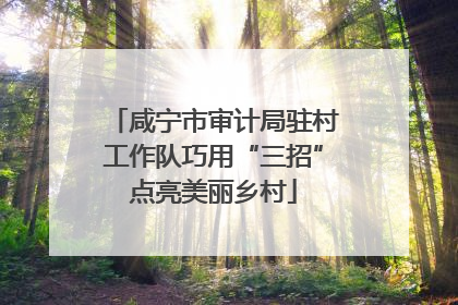 咸宁市审计局驻村工作队巧用“三招”点亮美丽乡村