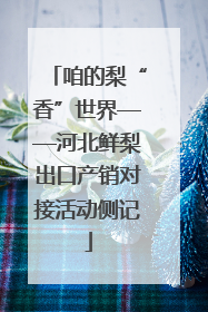 咱的梨“香”世界——河北鲜梨出口产销对接活动侧记