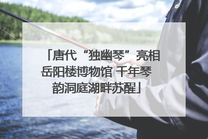 唐代“独幽琴”亮相岳阳楼博物馆 千年琴韵洞庭湖畔苏醒