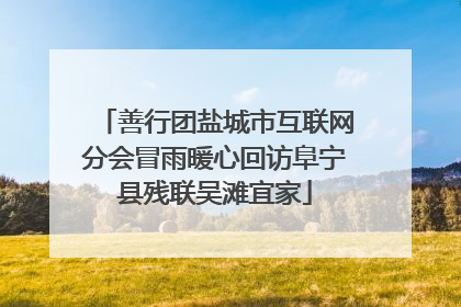 善行团盐城市互联网分会冒雨暖心回访阜宁县残联吴滩宜家