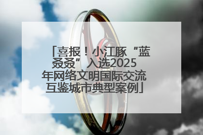 喜报！小江豚“蓝叒叒”入选2025年网络文明国际交流互鉴城市典型案例