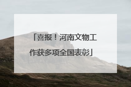 喜报！河南文物工作获多项全国表彰