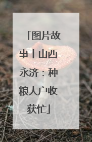 图片故事丨山西永济：种粮大户收获忙