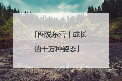 图说东营丨成长的十万种姿态