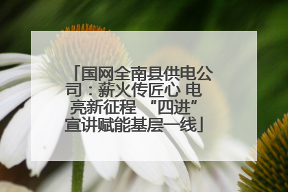 国网全南县供电公司：薪火传匠心 电亮新征程 “四进”宣讲赋能基层一线