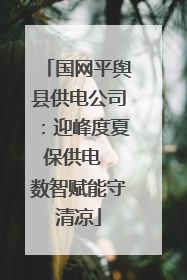 国网平舆县供电公司：迎峰度夏保供电  数智赋能守清凉