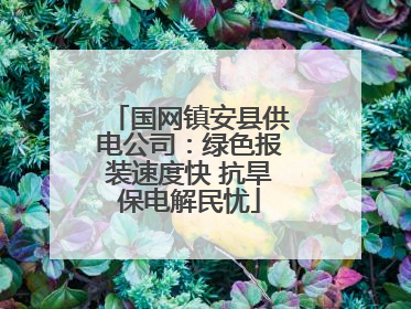 国网镇安县供电公司：绿色报装速度快 抗旱保电解民忧