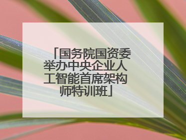 国务院国资委举办中央企业人工智能首席架构师特训班