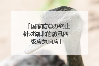 国家防总办终止针对湖北的防汛四级应急响应