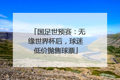 国足世预赛：无缘世界杯后，球迷低价抛售球票