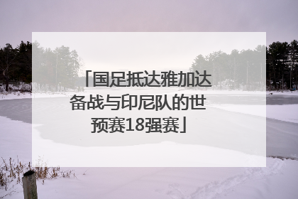 国足抵达雅加达备战与印尼队的世预赛18强赛