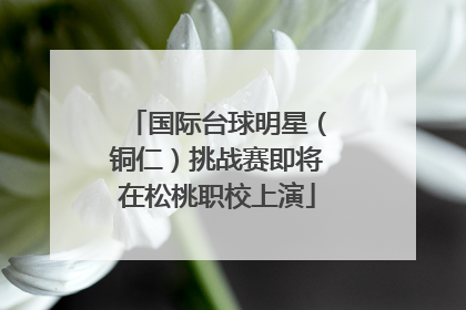 国际台球明星（铜仁）挑战赛即将在松桃职校上演