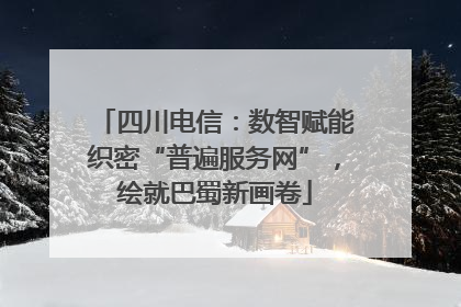 四川电信：数智赋能织密“普遍服务网”，绘就巴蜀新画卷