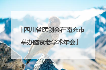 四川省医创会在南充市举办脑衰老学术年会