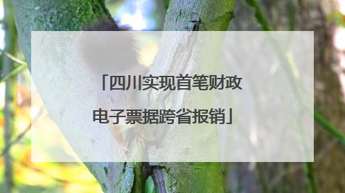 四川实现首笔财政电子票据跨省报销