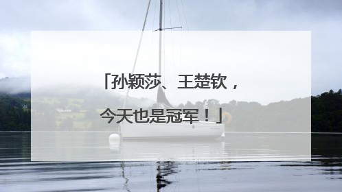 孙颖莎、王楚钦，今天也是冠军！