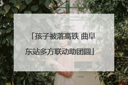 孩子被落高铁 曲阜东站多方联动助团圆