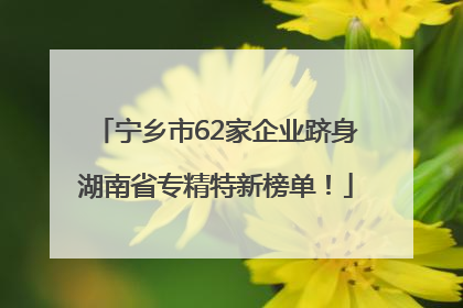 宁乡市62家企业跻身湖南省专精特新榜单！