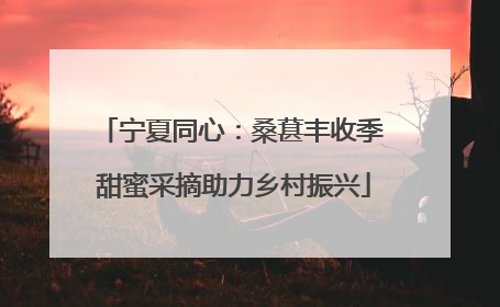 宁夏同心：桑葚丰收季 甜蜜采摘助力乡村振兴