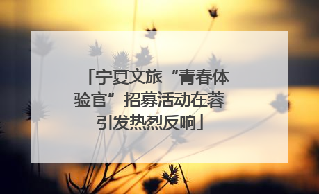 宁夏文旅“青春体验官”招募活动在蓉引发热烈反响