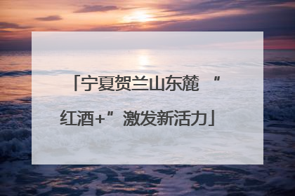 宁夏贺兰山东麓 “红酒+”激发新活力