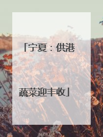 宁夏：供港蔬菜迎丰收
