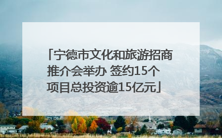 宁德市文化和旅游招商推介会举办 签约15个项目总投资逾15亿元