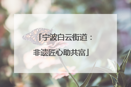 宁波白云街道：非遗匠心助共富