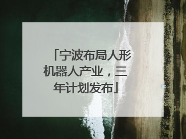 宁波布局人形机器人产业，三年计划发布