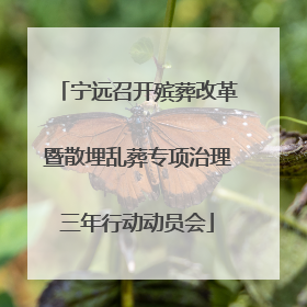 宁远召开殡葬改革暨散埋乱葬专项治理三年行动动员会