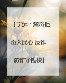 宁远：禁毒拒毒入民心 反诈防诈守钱袋