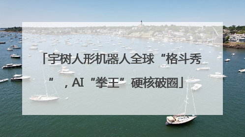 宇树人形机器人全球“格斗秀”，AI“拳王”硬核破圈